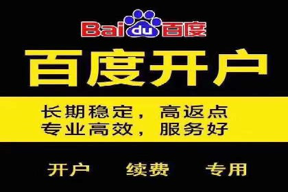 百度竞价托管公司案例：揭秘高效广告投放策略